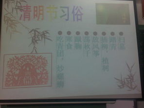 小學(xué)清明節(jié)主題活動(dòng)的總結(jié)報(bào)告(小學(xué)清明節(jié)主題活動(dòng)總結(jié)報(bào)告)