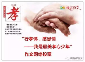 我孝心我感恩作文開頭結尾