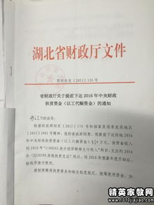 扶貧資金使用自查報(bào)告范文(專項(xiàng)資金使用情況自查報(bào)告)