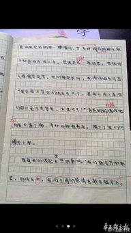 他笑了作文開(kāi)頭結(jié)尾,我笑了作文開(kāi)頭和結(jié)尾,媽媽笑了作文開(kāi)頭結(jié)尾