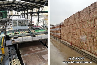 淺談建筑垃圾的處理問題(淺談河北省城市垃圾處理問題)