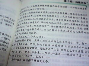 400字關(guān)于生命的作文開頭結(jié)尾