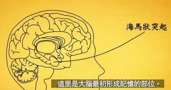 在乎作文好開頭