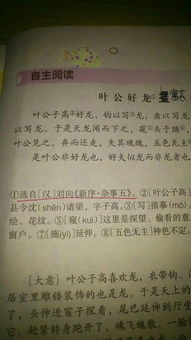 葉公好龍作文開頭