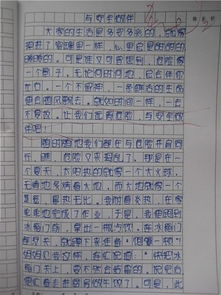 有關(guān)行車安全作文開頭