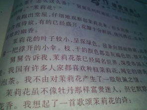 關于茉莉花的作文開頭