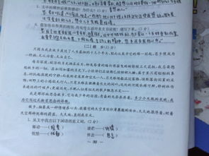 寫母愛的作文開頭比喻句