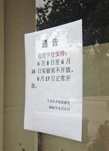 有關嘗試的作文開頭高中