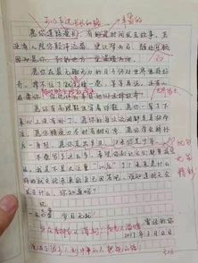 初二讀后感作文開頭