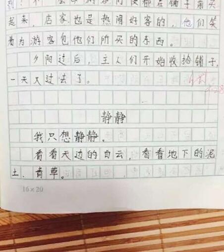 寫同桌女生開頭作文600字
