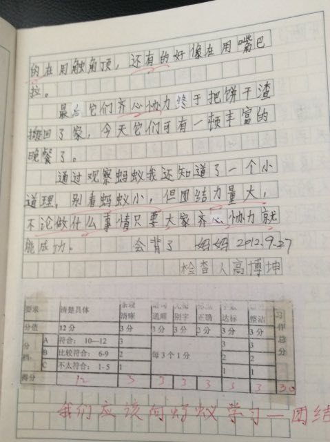 三級(jí)母愛(ài)作文開(kāi)頭