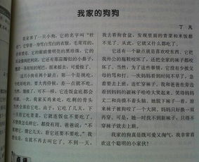 小狗作文開(kāi)頭怎么寫(xiě),描寫(xiě)小狗的作文開(kāi)頭,我的小狗作文開(kāi)頭