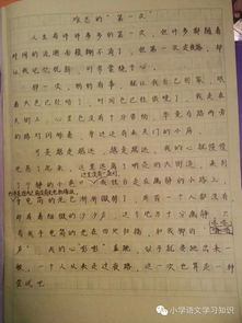 作文,開頭,難忘,溫暖
