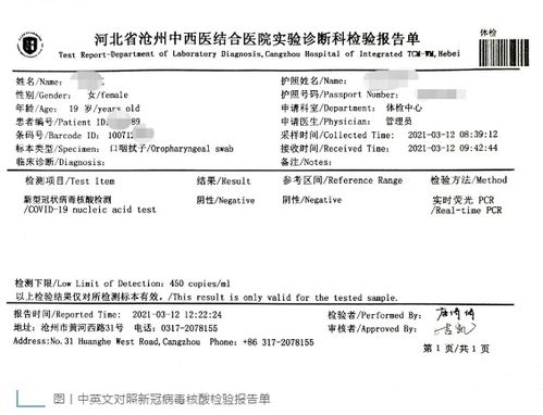 核酸檢測報(bào)告英文 (進(jìn)行核酸檢測英文 )