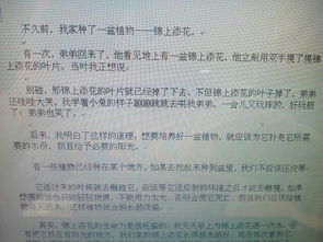 作文,開好,開頭,這朵