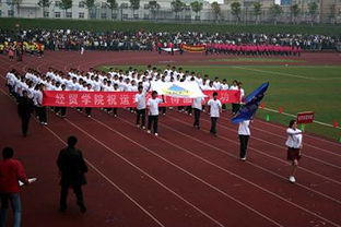關(guān)于運動會的報道稿(關(guān)于運動會的報道稿)