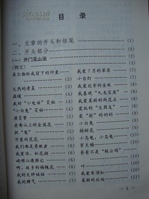 優(yōu)秀的作文開頭高中作文600字
