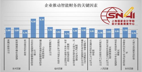 學(xué)校財(cái)務(wù)自我檢查報(bào)告(學(xué)校評(píng)估自我檢查報(bào)告)