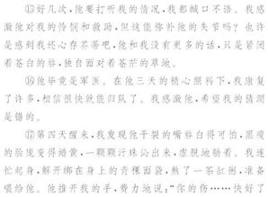 含詩(shī)句的開(kāi)頭結(jié)尾的作文