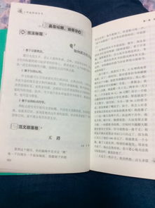開頭設(shè)置懸念的作文500字