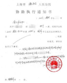 關(guān)于執(zhí)行的通知書(關(guān)于測試執(zhí)行的個(gè)人總結(jié))