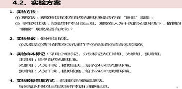 研究過程記錄(數學聽課過程記錄)