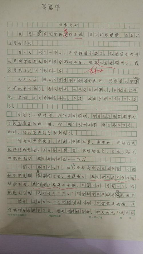 四級寫事寫人精彩作文開頭