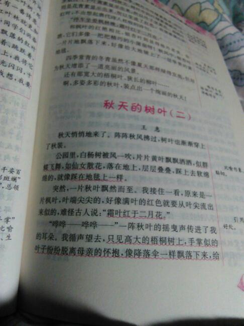 寫人的作文五級(jí)同學(xué)的作文開頭