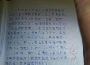 六級(jí)上冊(cè)第四單元作文開頭