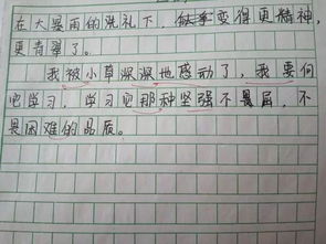 作文描寫夜景的好開頭好結(jié)尾