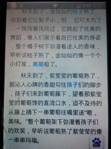 形容家鄉(xiāng)的果園作文的開(kāi)頭的句子