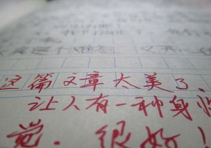 引用詩(shī)詞的作文開頭和結(jié)尾