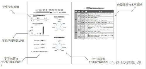 自我分析形成報(bào)告(自我評(píng)價(jià)的形成分析)