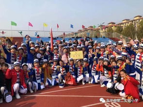 實驗小學(xué)體衛(wèi)藝工作總結(jié)(體衛(wèi)藝工作總結(jié))