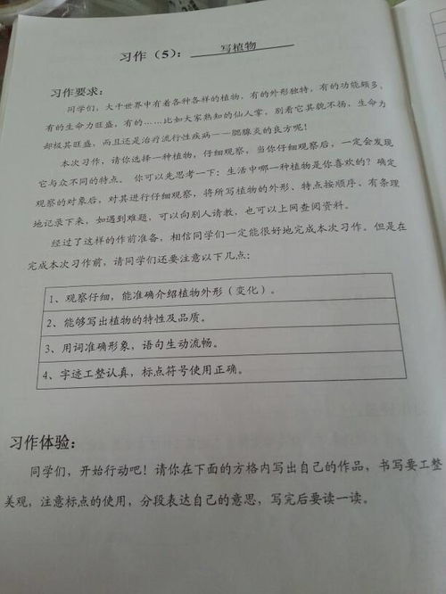 我喜歡的一種植物三級作文開頭結尾
