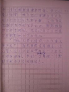 作文,樂在其中,開頭,主題