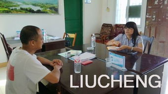 村兩委換屆考察報(bào)告()