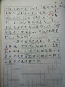 人與動(dòng)物友誼的作文開頭