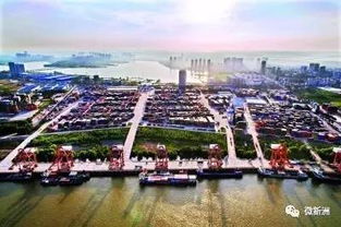 長江新城建在哪兒？(宜家到底建在哪？)