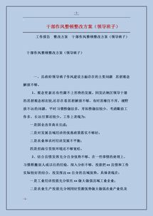 班子整改落實情況報告范文(領(lǐng)導(dǎo)班子整改落實情況報告)