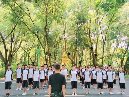 班級(jí)風(fēng)采展新聞稿參考(大學(xué)班級(jí)風(fēng)采展)