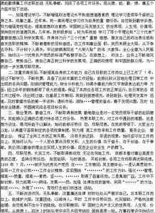 德能勤績廉總結()