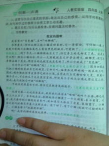四級(jí)動(dòng)物作文的開頭和結(jié)尾
