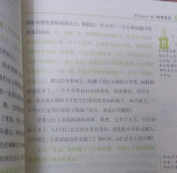關(guān)于寫(xiě)農(nóng)家風(fēng)光作文的開(kāi)頭