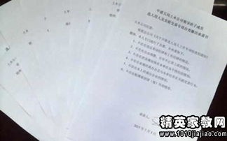 稅務自查報告范文(稅務自查報告怎么寫)