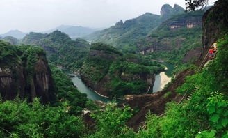 武夷山之旅作文開頭