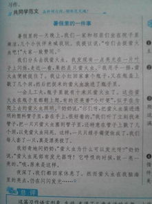 生命作文200字開頭