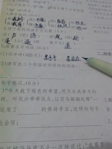 形容時(shí)間過得快的作文開頭