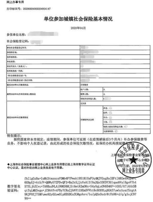 單位社保繳費(fèi)情況說明(單位開社保繳費(fèi)證明)