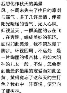我的財富作文寫景開頭